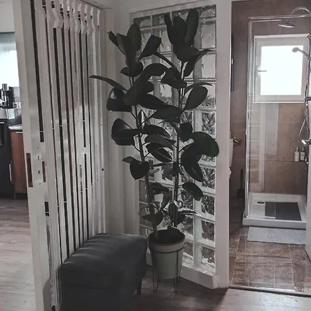 Apartment In Cosy